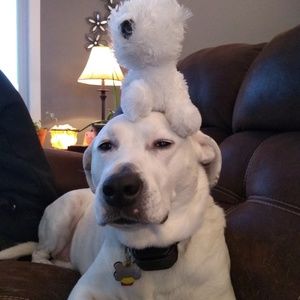 Meet your Posher, Lori